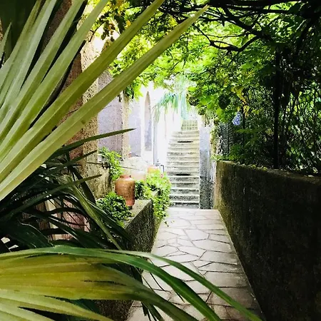 The Secret Garden In Piazza Del Popolo 16 Historical Center *